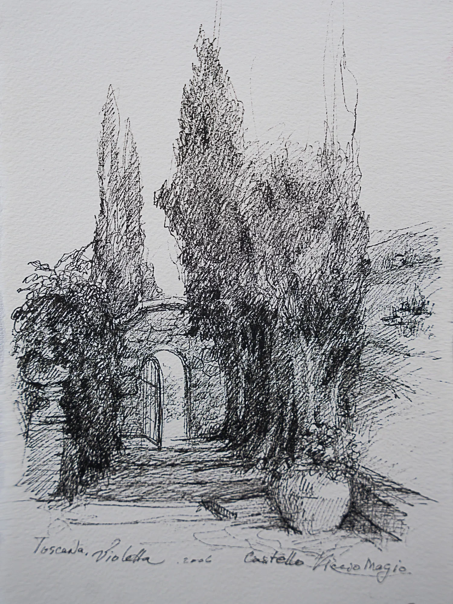 A garden gateway framed by trees and climbing plants — study by Violetta Chandler